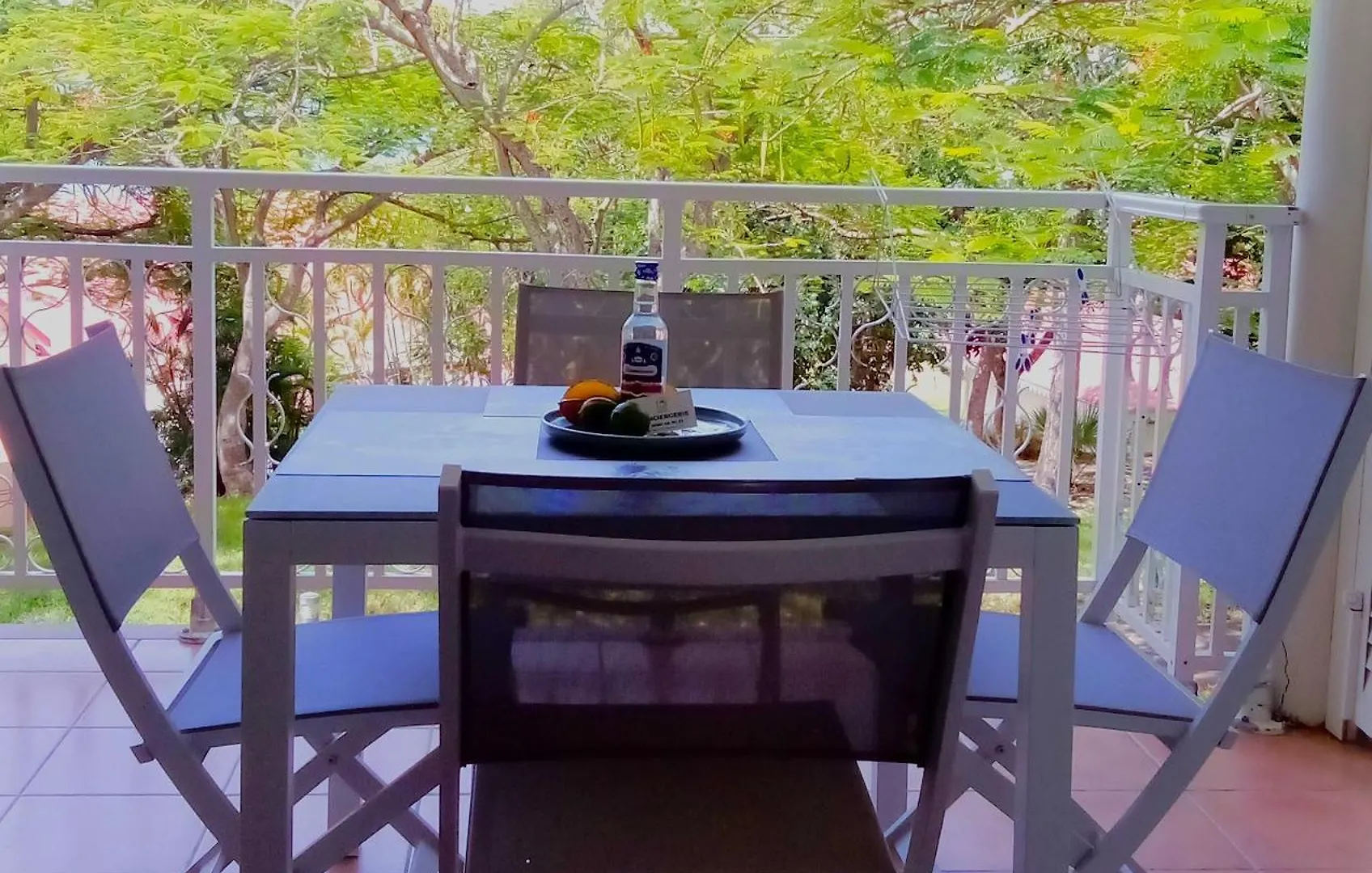 Magnifique Appartement Avec Terrasse Coco Beach Sainte-Anne  Guadeloupe