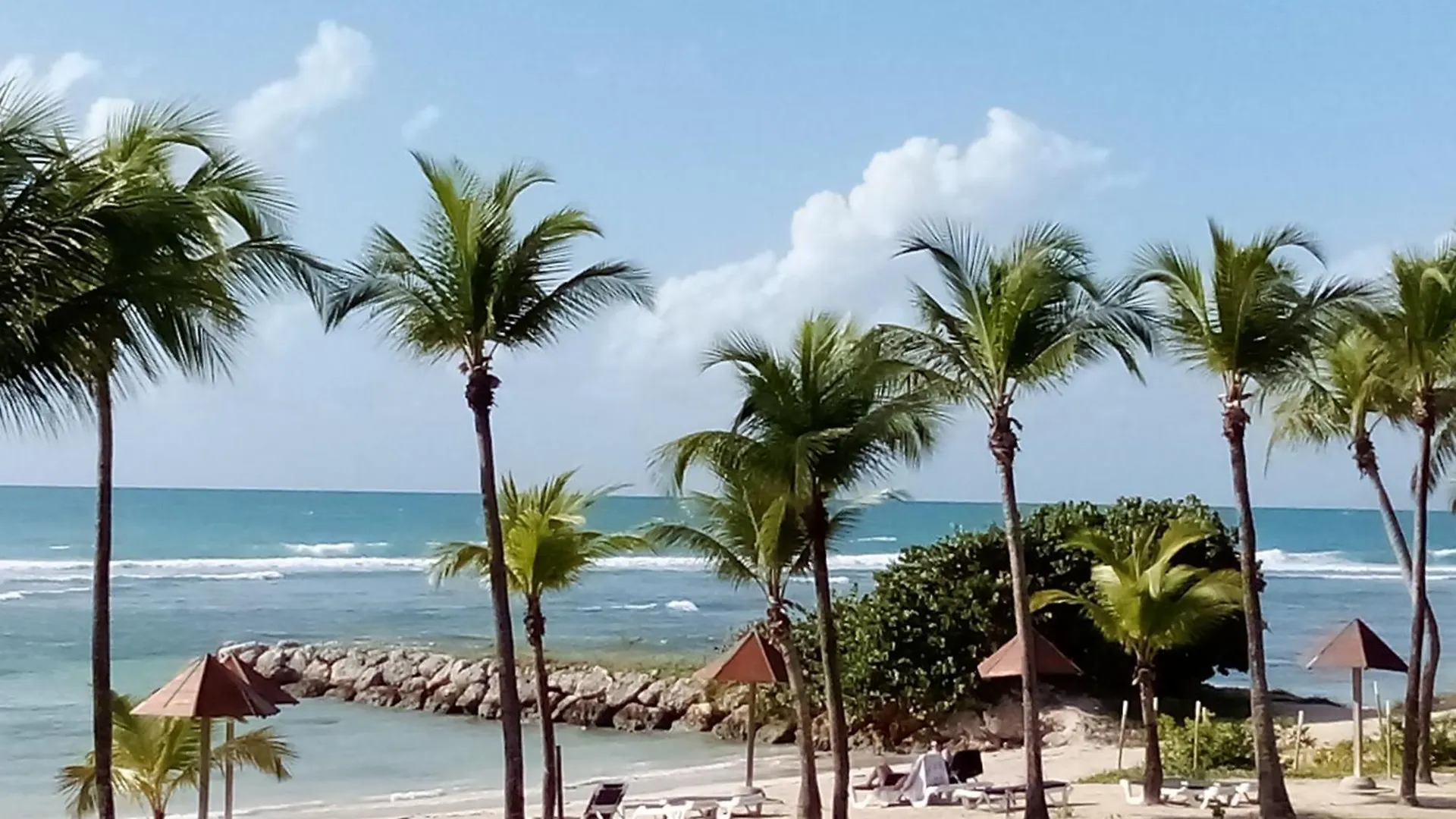 Magnifique Appartement Avec Terrasse Coco Beach Sainte-Anne  Apartment Sainte-Anne (Grande-Terre)