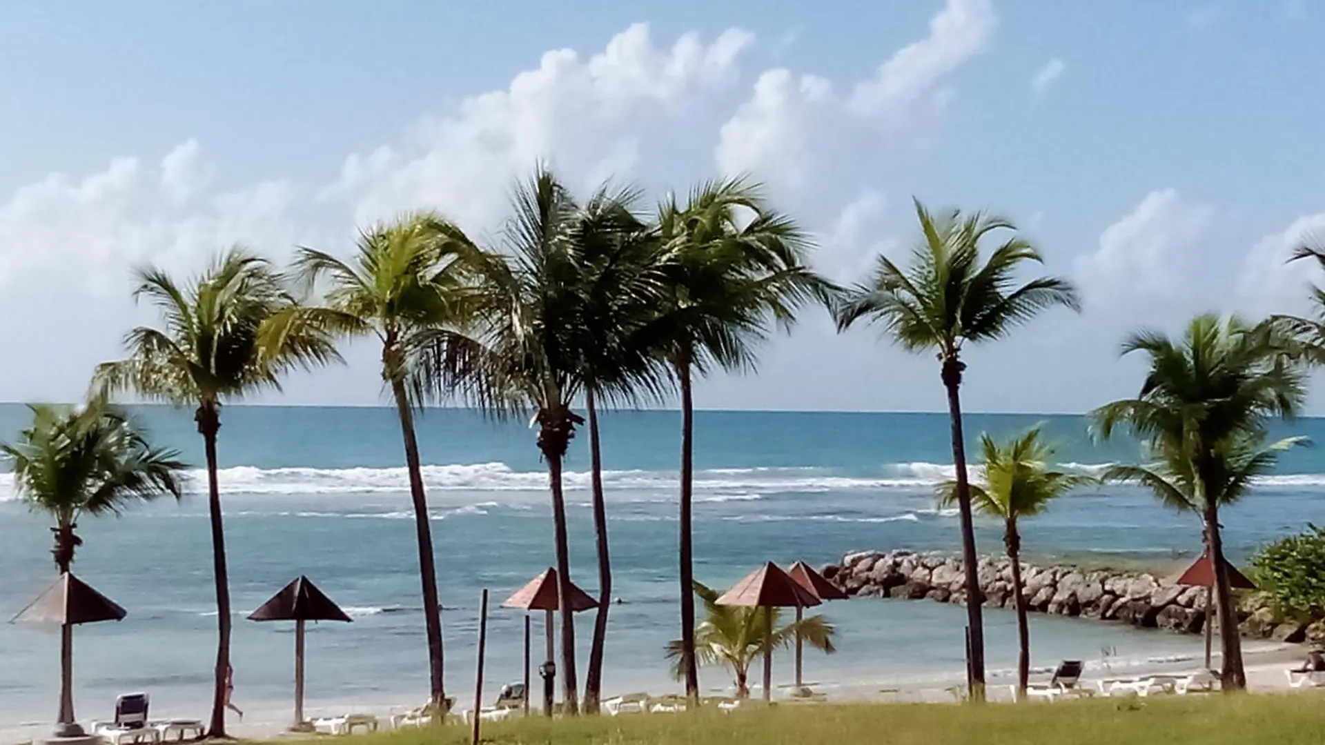 Apartment Magnifique Appartement Avec Terrasse Coco Beach Sainte-Anne  Guadeloupe
